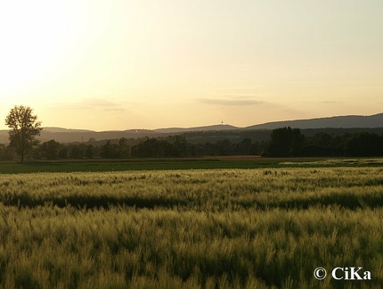 Ein Juniabend in der Schwalm