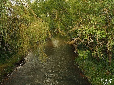 Die Schwalm zwischen Steina und Loshausen