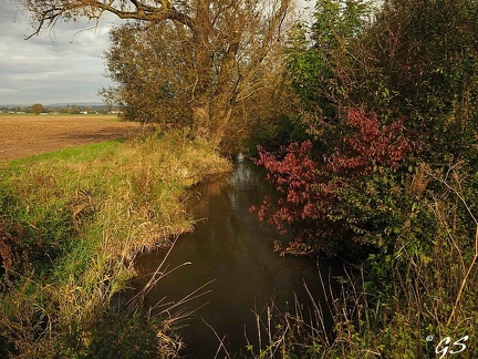 Die Schwalm im Herbst zwischen Steina und Loshausen