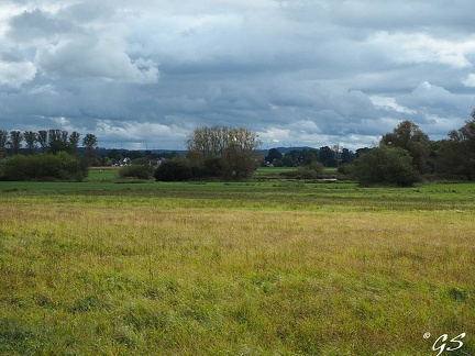 In den Schwalmwiesen zwischen Niedergrenzebach und Steina