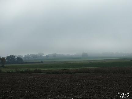 Herbst im Kraushoholz zwischen Steina und Riebelsdorf