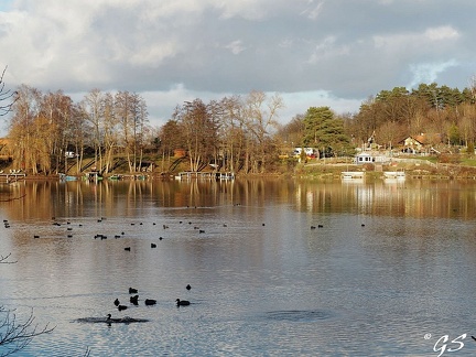 Silbersee bei Frielendorf