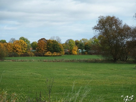 In den Schwalmwiesen bei Niedergrenzebach