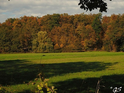 Im Wald bei Trutzhain